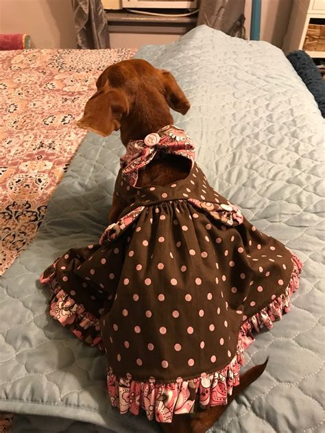 medium dog dresses